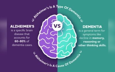 The Difference Between Alzheimer’S And Dementia: Key Facts Explained